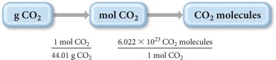 Conceptual plan for converting grams to molecules