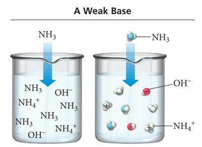 Table of strong bases