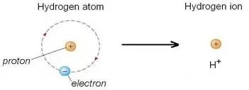 Hydrogen atom and hydrogen ion