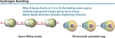 Hydrogen bonding between molecules