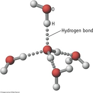 Hydrogen bonding network in ice