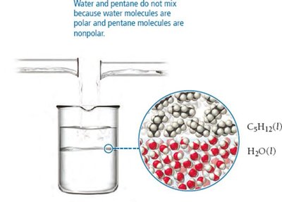 Water and pentane do not mix due to different IMFs