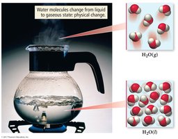 Boiling water: physical change