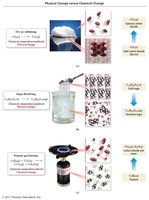 Physical vs. chemical changes