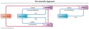 The scientific approach flowchart