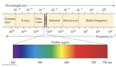 Electromagnetic spectrum and visible region