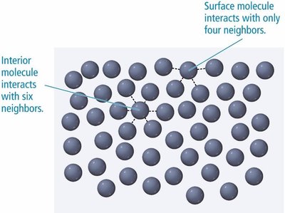 Surface tension: interior vs surface molecules