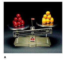 Counting objects of fixed relative mass (marbles on a balance).