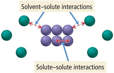 Solvent-solute and solute-solute interactions