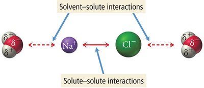 Solvent-solute interactions for NaCl