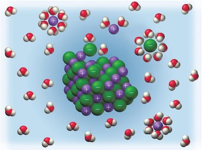 Ions surrounded by water molecules
