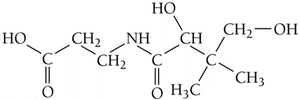 Structure of a water-soluble vitamin