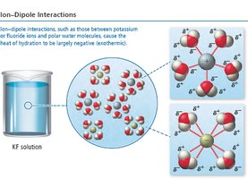 Ion-dipole interactions in solution