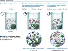 Dynamic equilibrium in solution