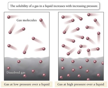 Solubility of a gas increases with pressure