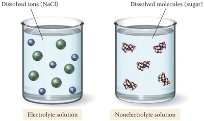 Electrolyte vs. nonelectrolyte solutions