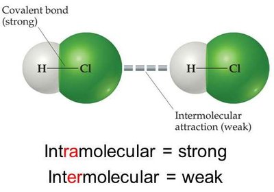 Intramolecular vs. intermolecular forces in HCl