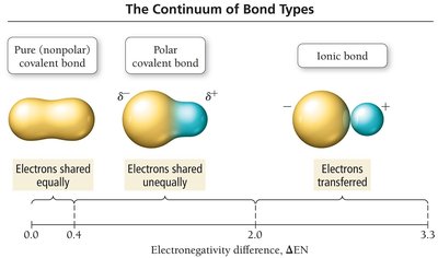 The continuum of bond types based on electronegativity difference