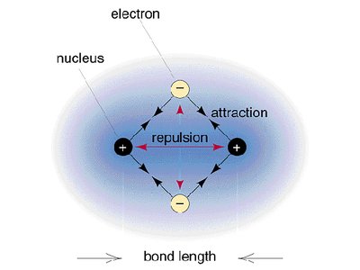 Diagram showing attractions and repulsions in a chemical bond