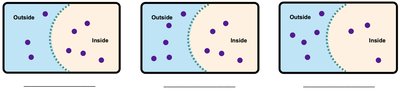 Hypotonic solution diagram