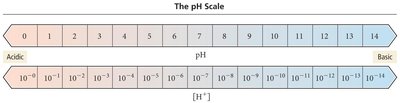 pH scale diagram