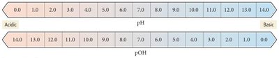 pOH scale diagram
