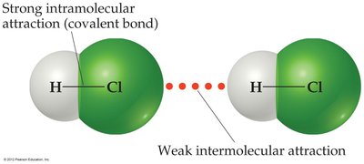 Diagram showing strong intramolecular attraction (covalent bond) and weak intermolecular attraction between HCl molecules
