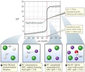 Titration curve and molecular changes during strong acid-strong base titration