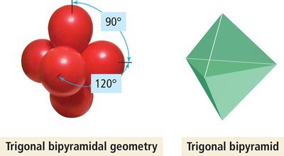 Trigonal bipyramidal model