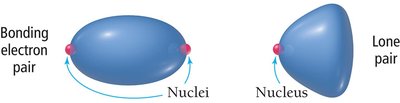 Bonding vs. lone pair electron distribution