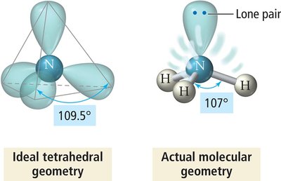 Bond angle distortion from lone pairs