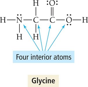 Glycine structure with four interior atoms