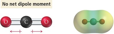 No net dipole moment in CO2