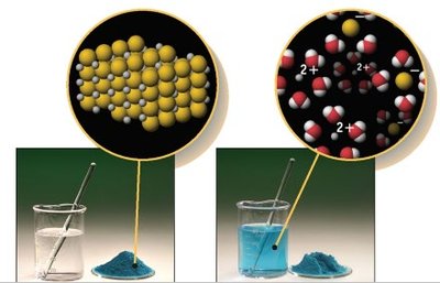 Solute and solvent in a solution