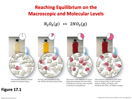 N2O4 and NO2 equilibrium at macroscopic and molecular levels