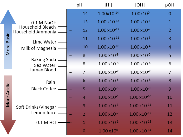 pH, pOH, [H+], and [OH-] relationship chart