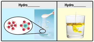Hydrophilic and hydrophobic substances