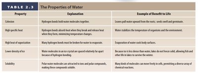 Emergent properties of water