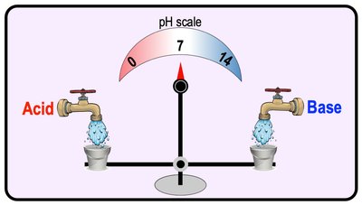 pH scale balance