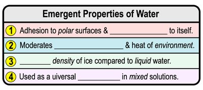 Emergent properties of water