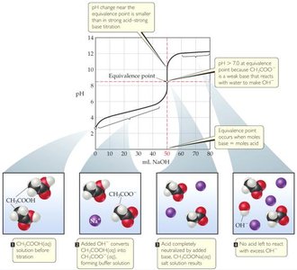 Weak acid-strong base titration curve and molecular changes