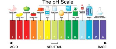 The pH scale with common substances