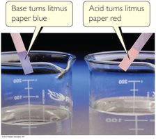 Litmus paper test: base turns blue, acid turns red