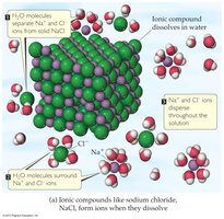 Dissociation of NaCl in water, showing ions and water molecules