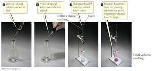 Steps in a titration experiment: adding indicator, titrant, and observing color change