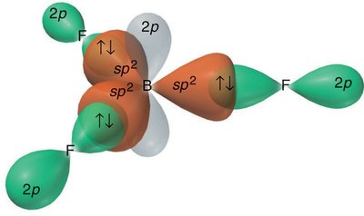 sp2 hybridization in BF3 showing orbital overlap