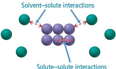 Solute-solute and solvent-solute interactions
