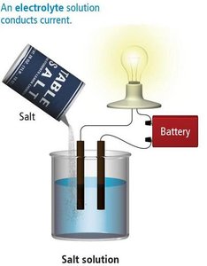 Electrolyte solution conducting electricity