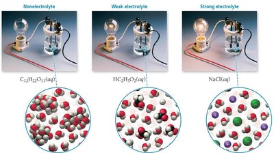 Comparison of nonelectrolyte, weak electrolyte, and strong electrolyte solutions
