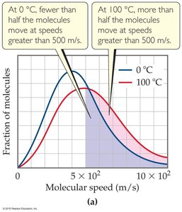 Effect of temperature on molecular speed distribution